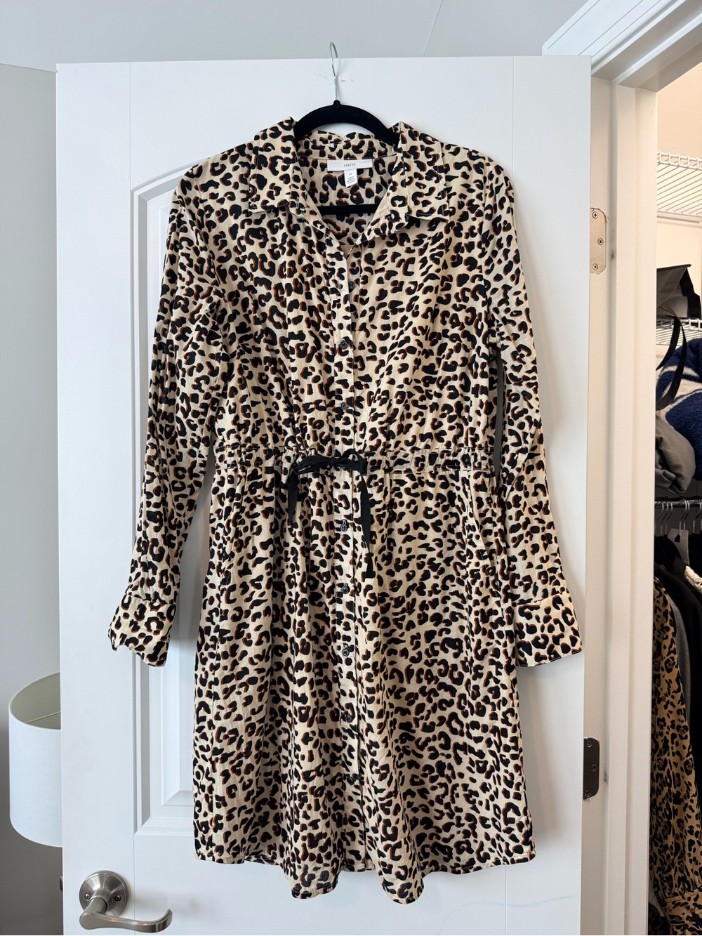 Leopard Print Shirt Dress